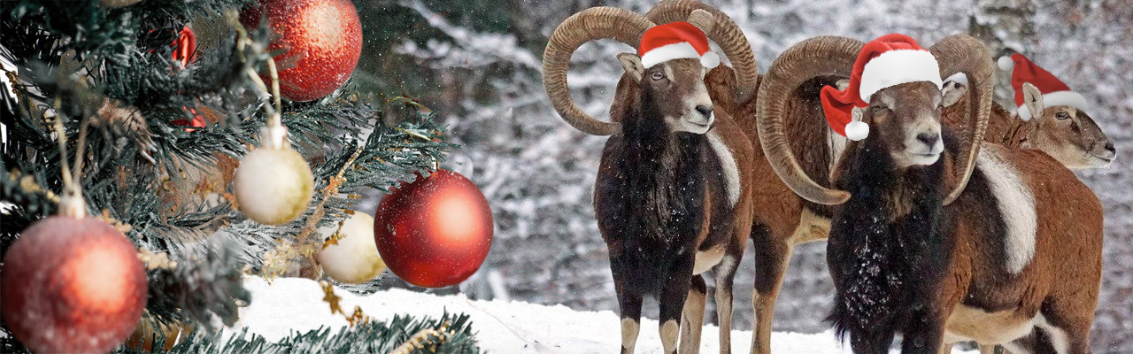 Frohe Weihnachten wünscht die Jägerschaft Uecker Randow